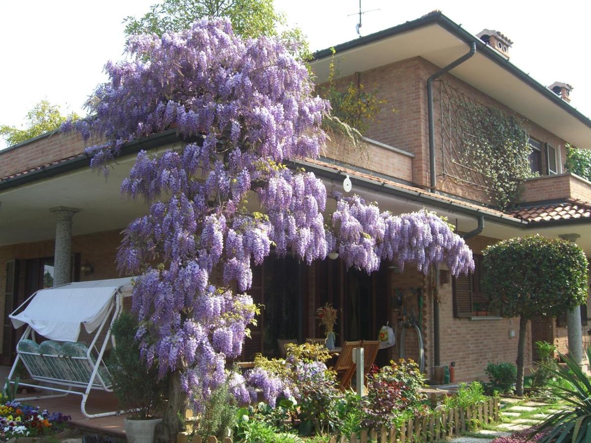 B&B Les Fleurettes Lomazzo Dış mekan fotoğraf